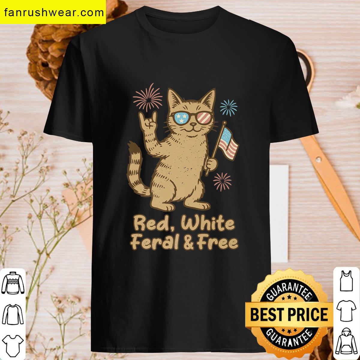 Fourth Of July Cat T-shirt