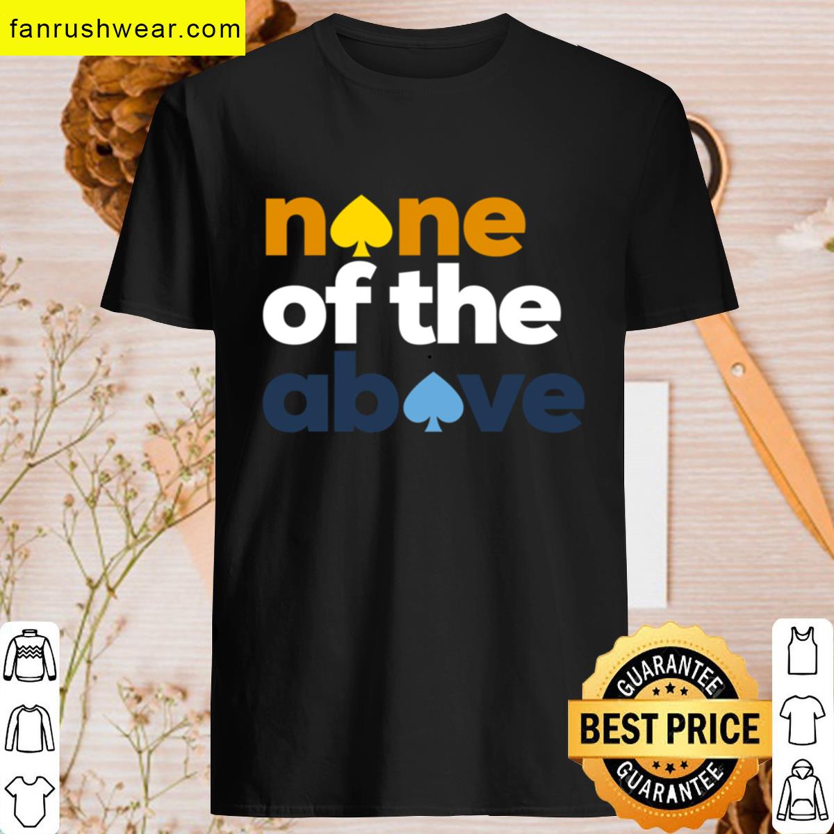 None Of The Above Aroace Pride T-shirt
