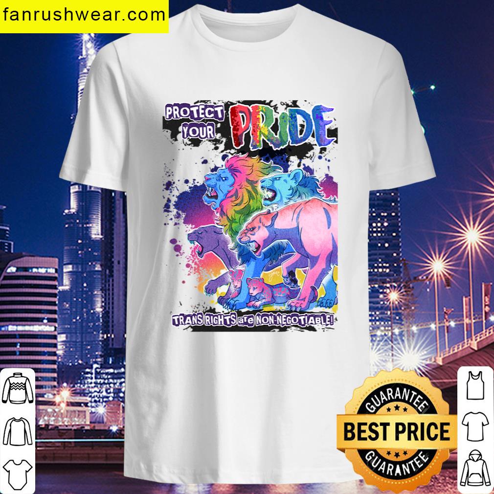 Protect Your Pride T-shirt
